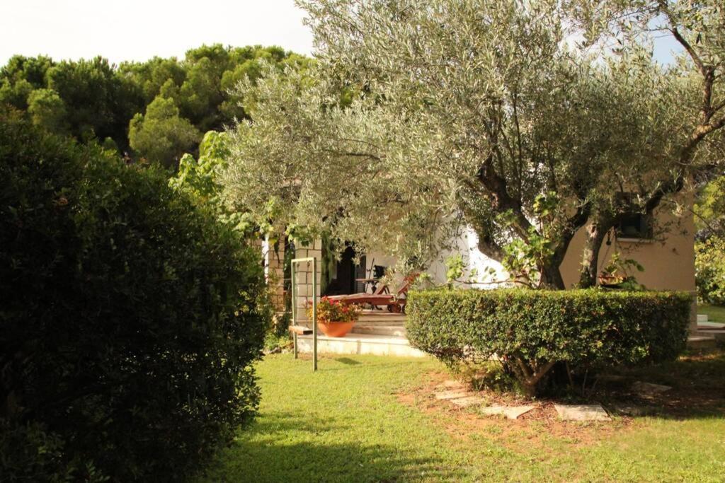 Villa Di Campagna Vicino Al Mare Orosei Exterior photo